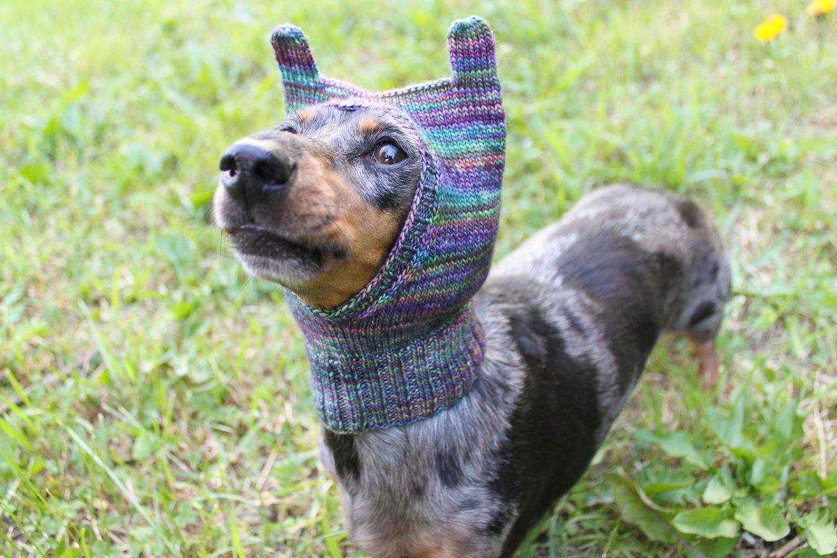 Harness-friendly dog sweater knitting pattern free