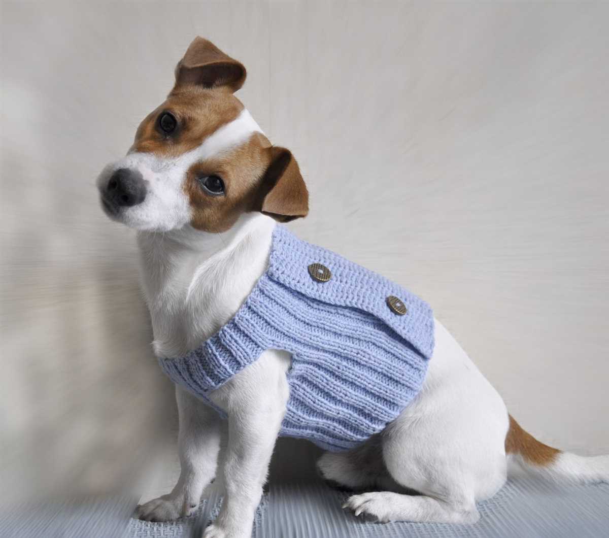 Harness-friendly dog sweater knitting pattern free