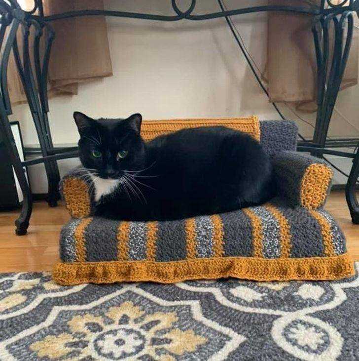 Kitty couch knitting pattern