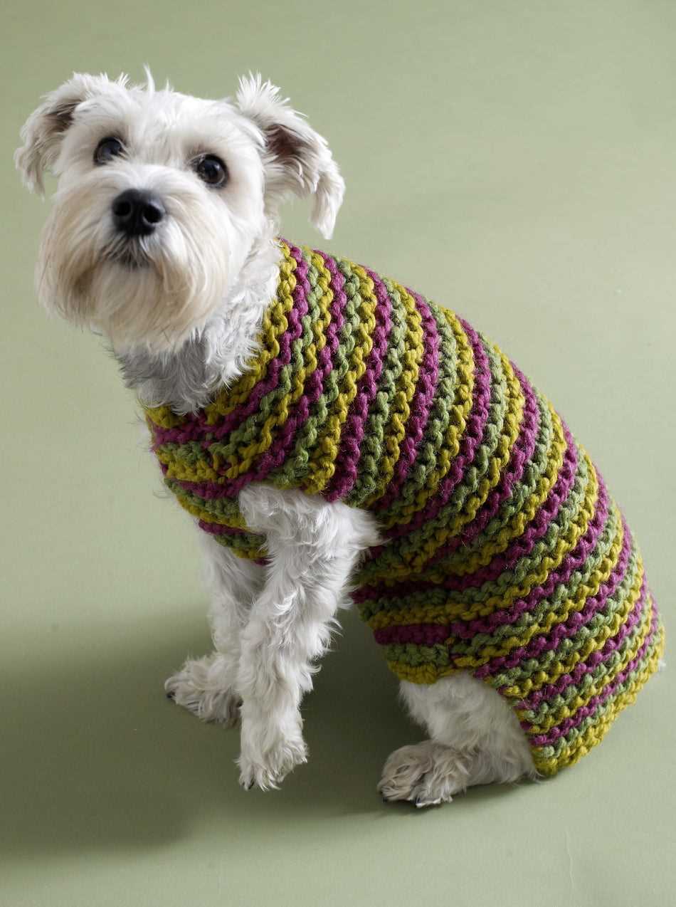 Knit dog coat pattern free