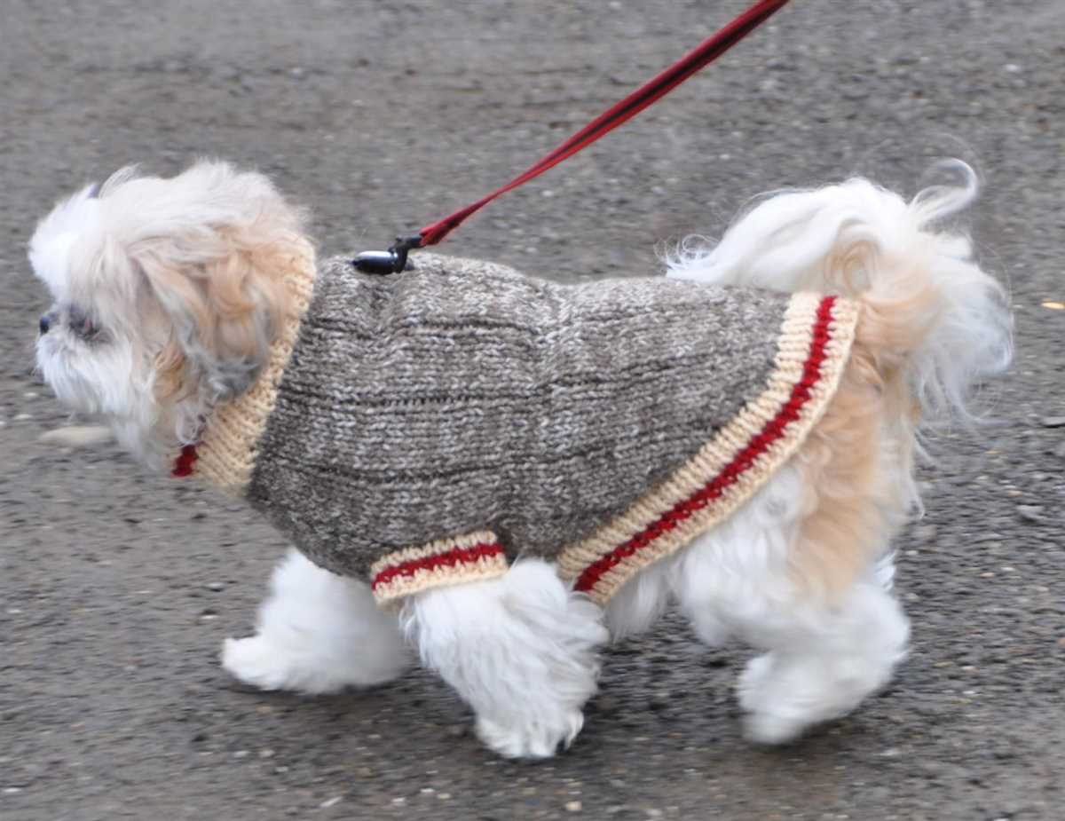 Knit dog jacket pattern