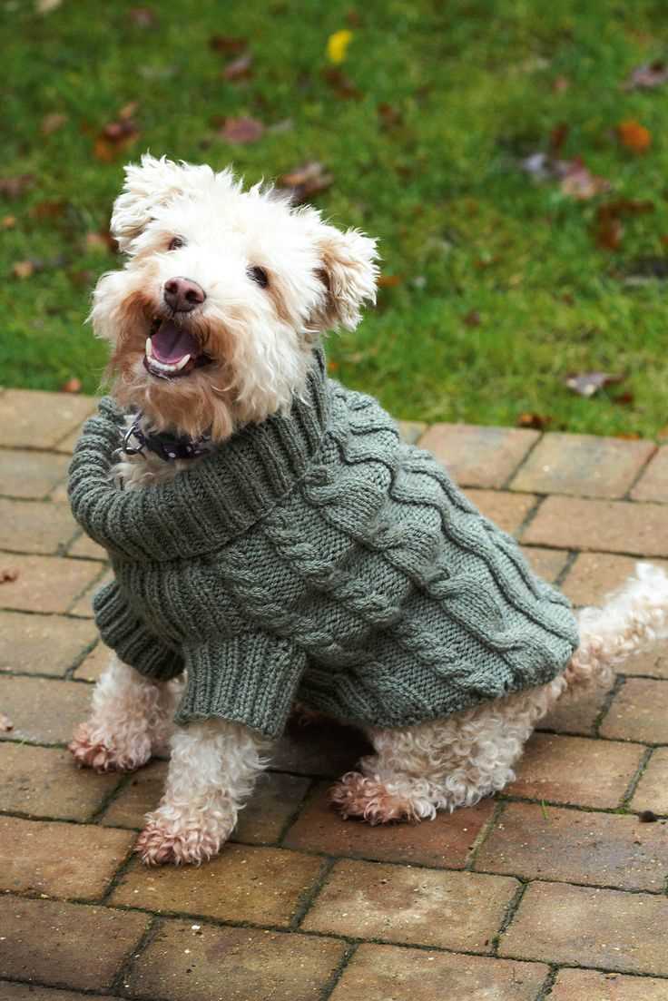 Knit dog sweater patterns