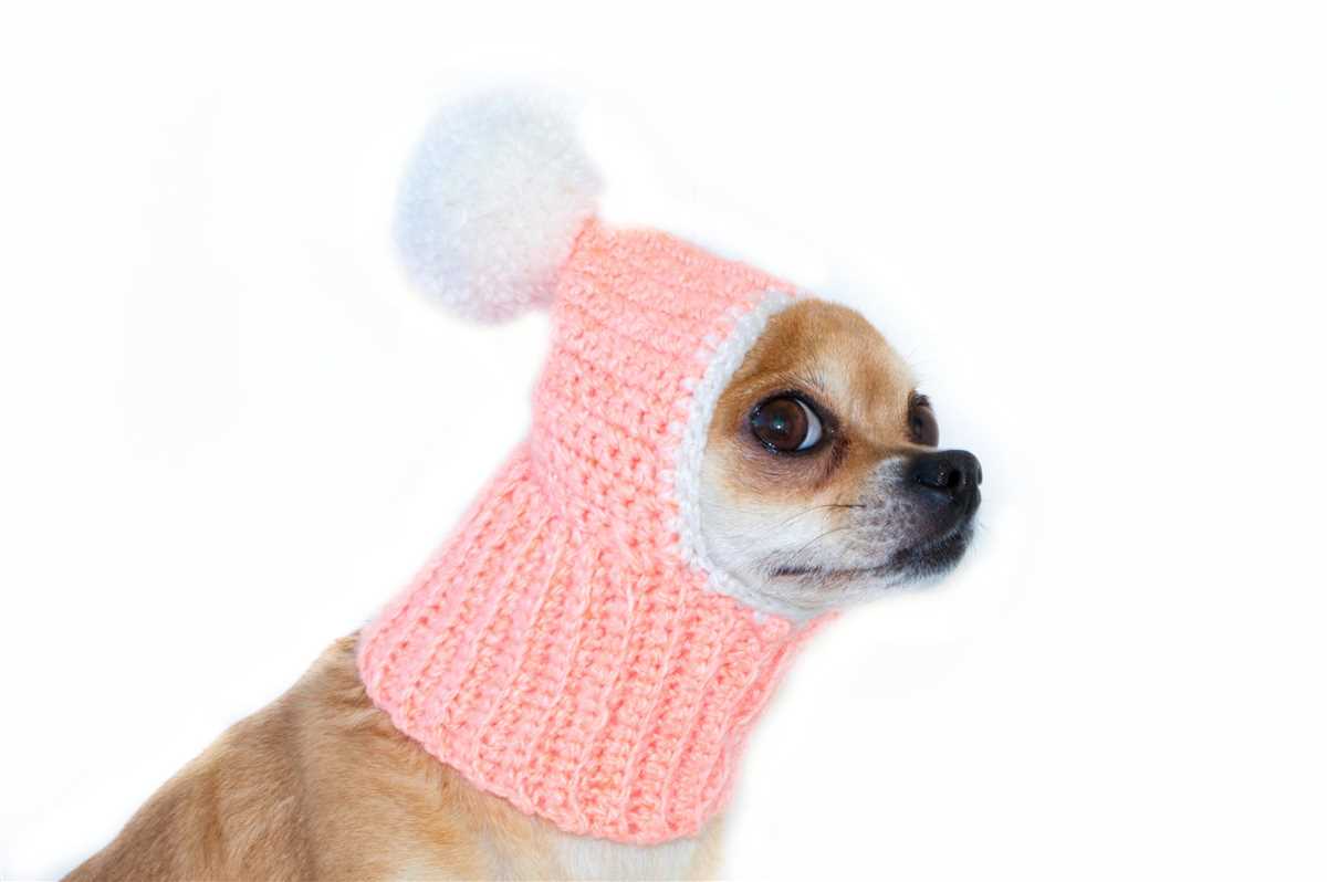 Knit dog hat with ear holes pattern free