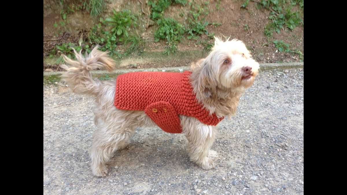 Knit dog jacket pattern