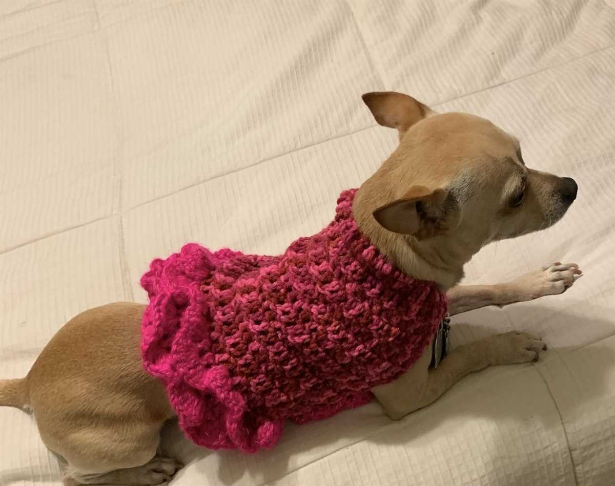 Knit dog sweater pattern free easy