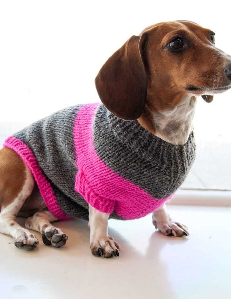 Knit dog sweater patterns