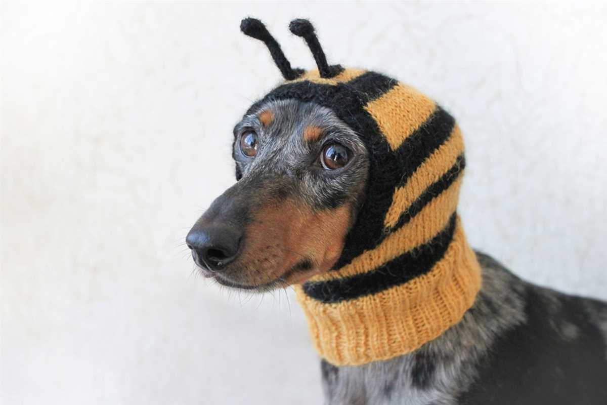 Knitted bee pattern