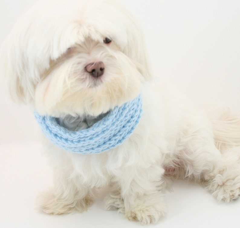 Knitted dog scarf pattern free