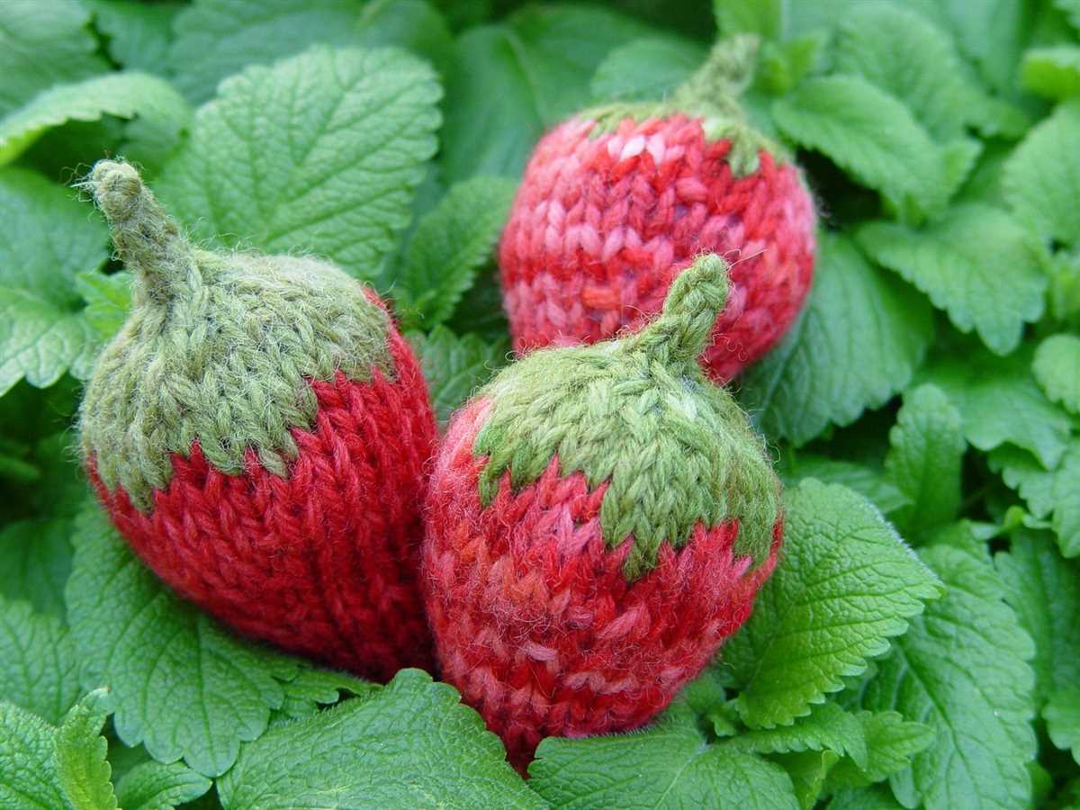 Knitted strawberry pattern free