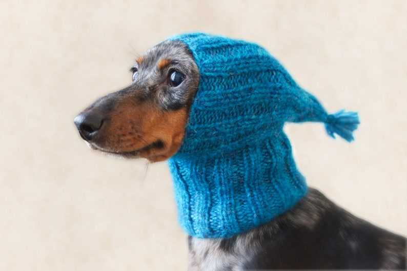 Knitting pattern for small dog hat