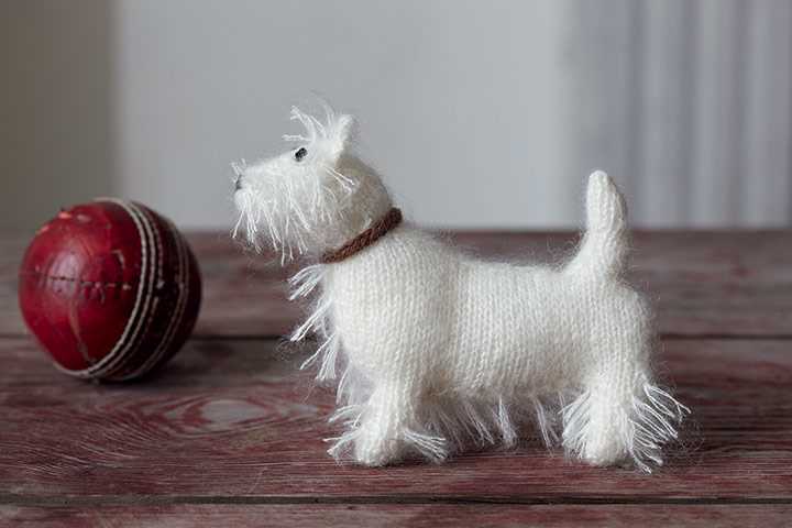 Knitting patterns for pets