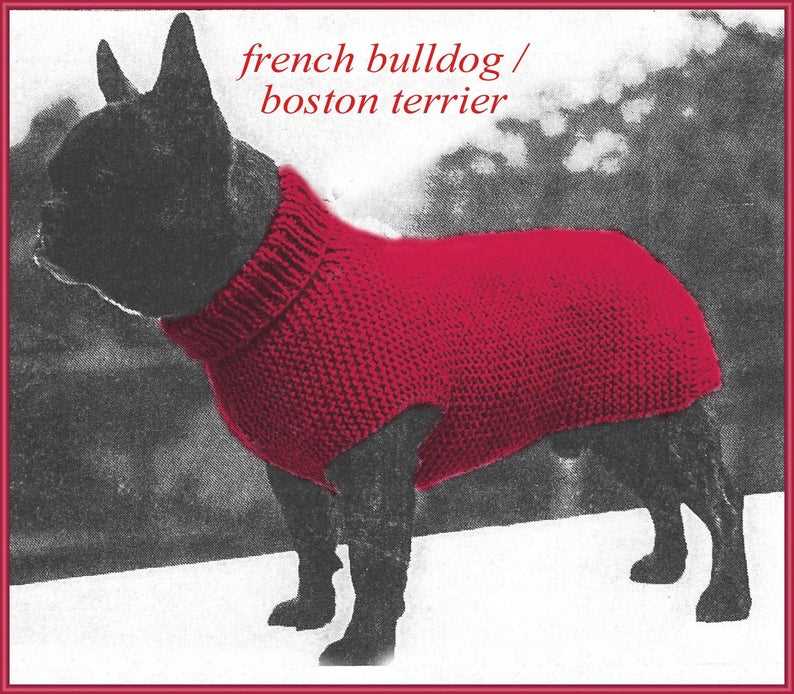 Knitting pattern for french bulldog sweater