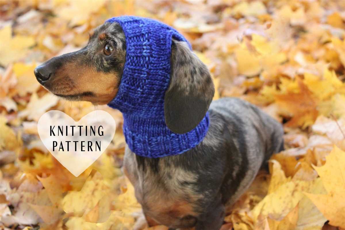 Knitting pattern for small dog hat