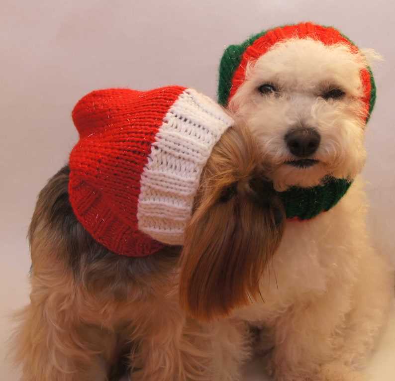 Knitting pattern for small dog hat