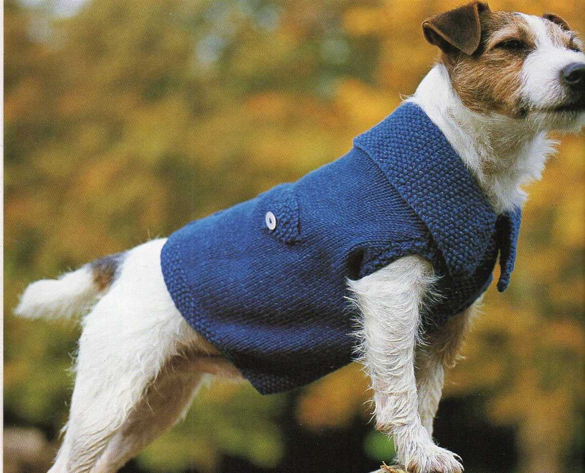 Rspca knitting patterns for dogs