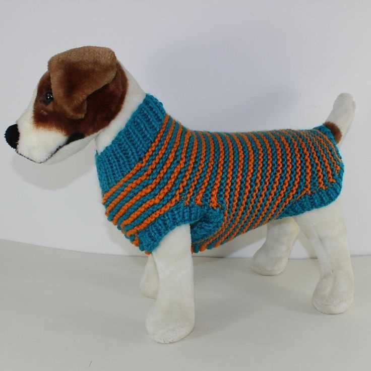 Small dog knitted sweater pattern