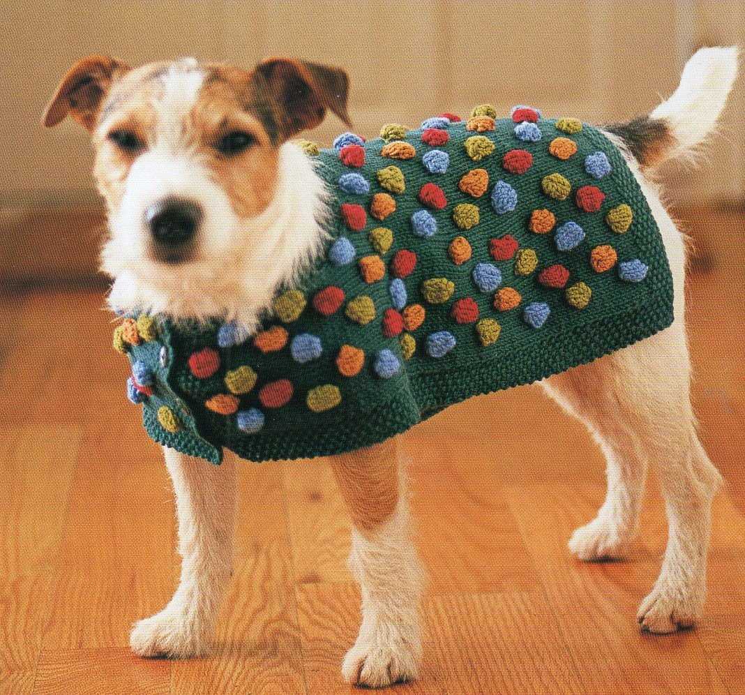 Small dog knitted sweater pattern