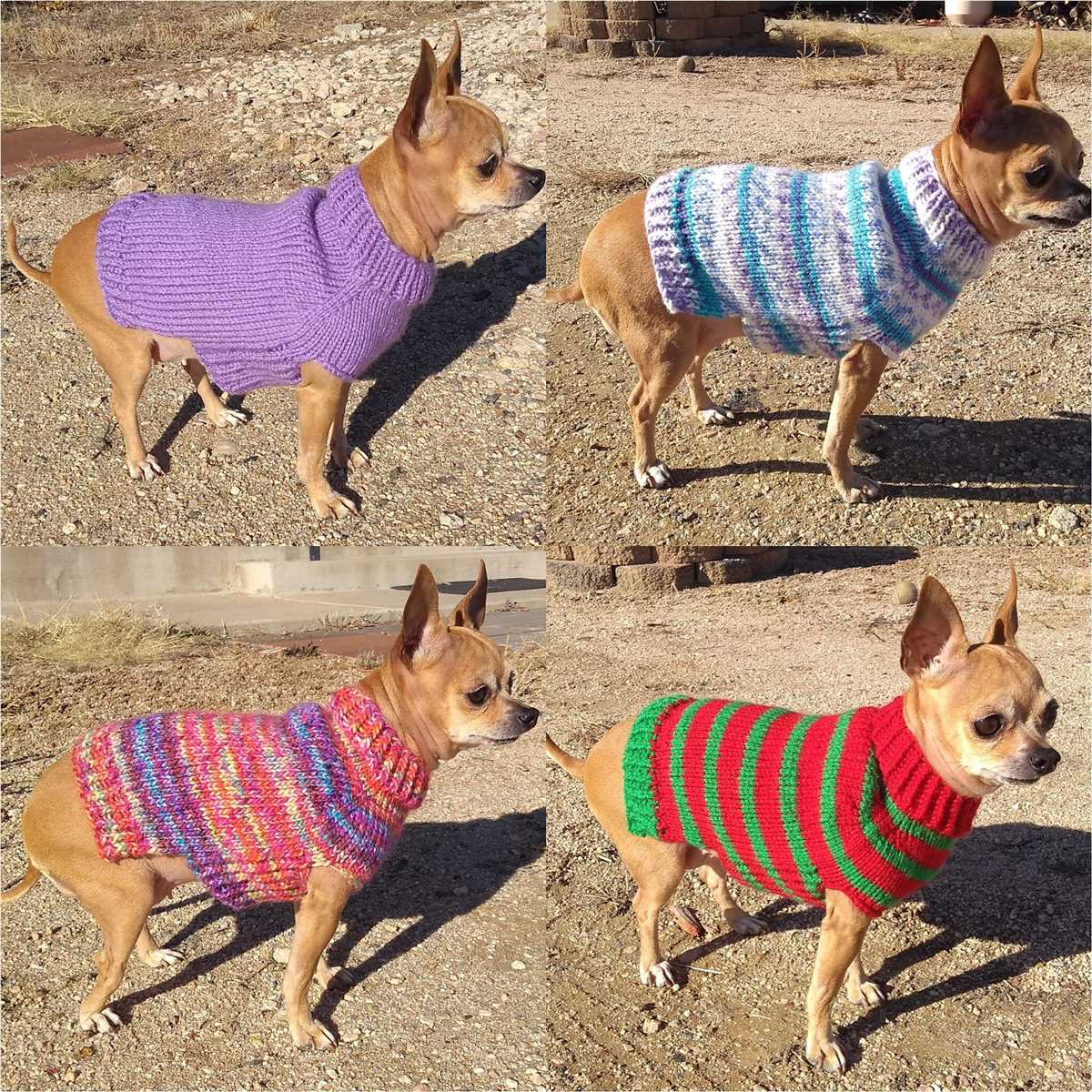 Small dog knitted sweater pattern