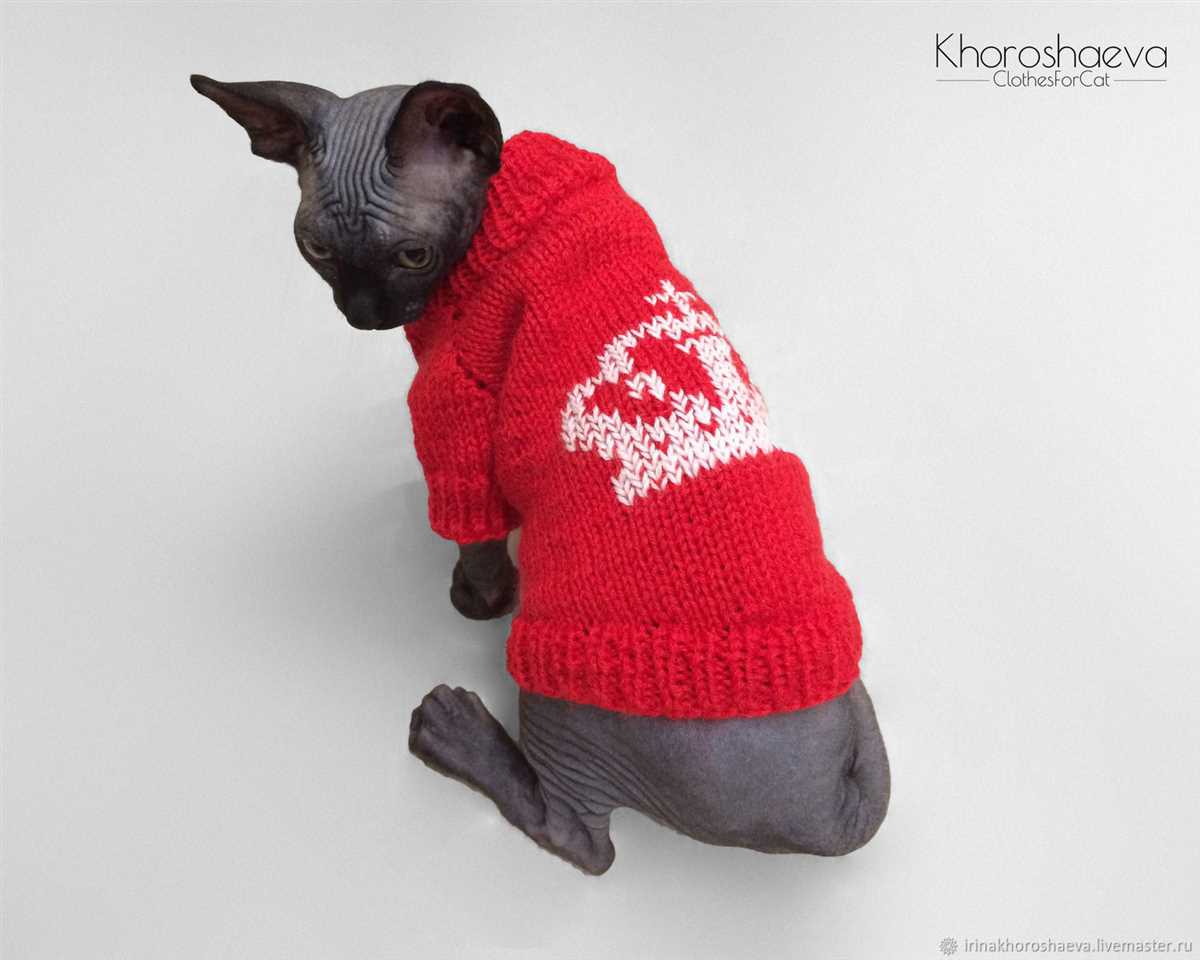 Sphynx cat sweater knitting pattern