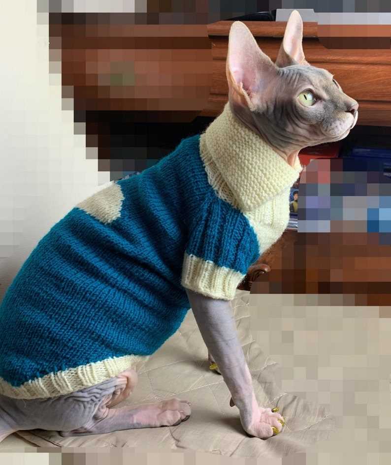 Sphynx cat sweater knitting pattern