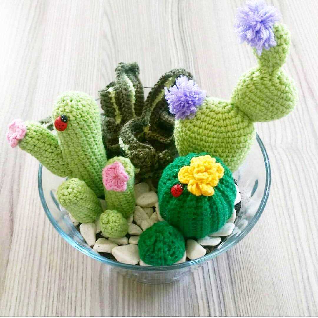 Succulent knitting pattern