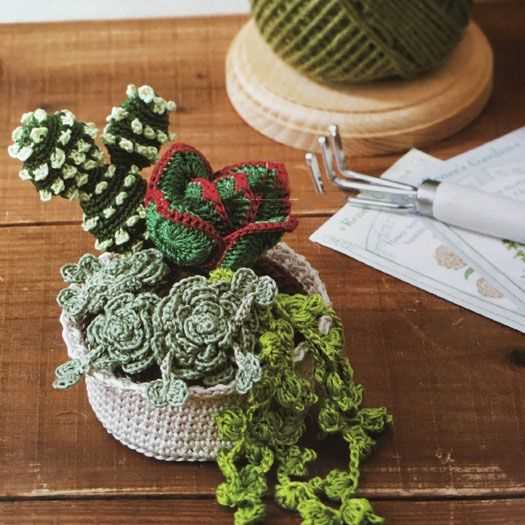 Succulent knitting pattern