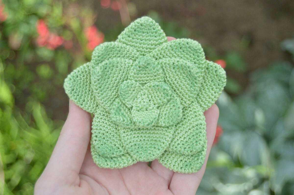 Succulent knitting pattern