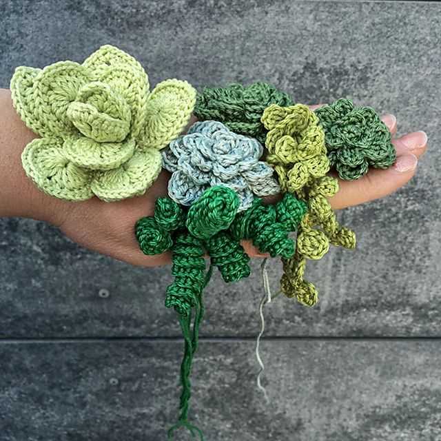 Succulent knitting pattern