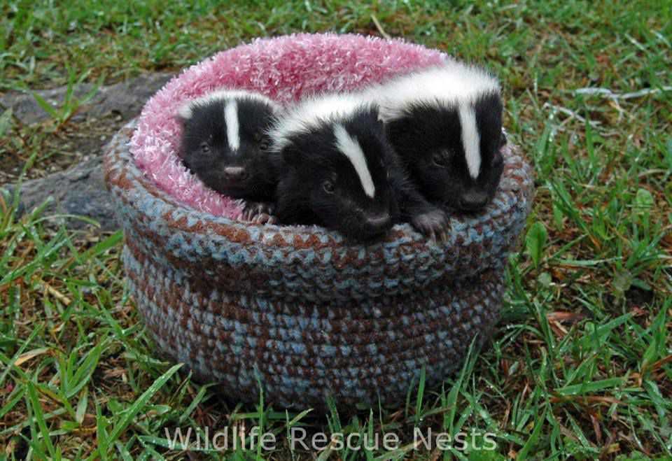 Wildlife rescue nests knitting patterns