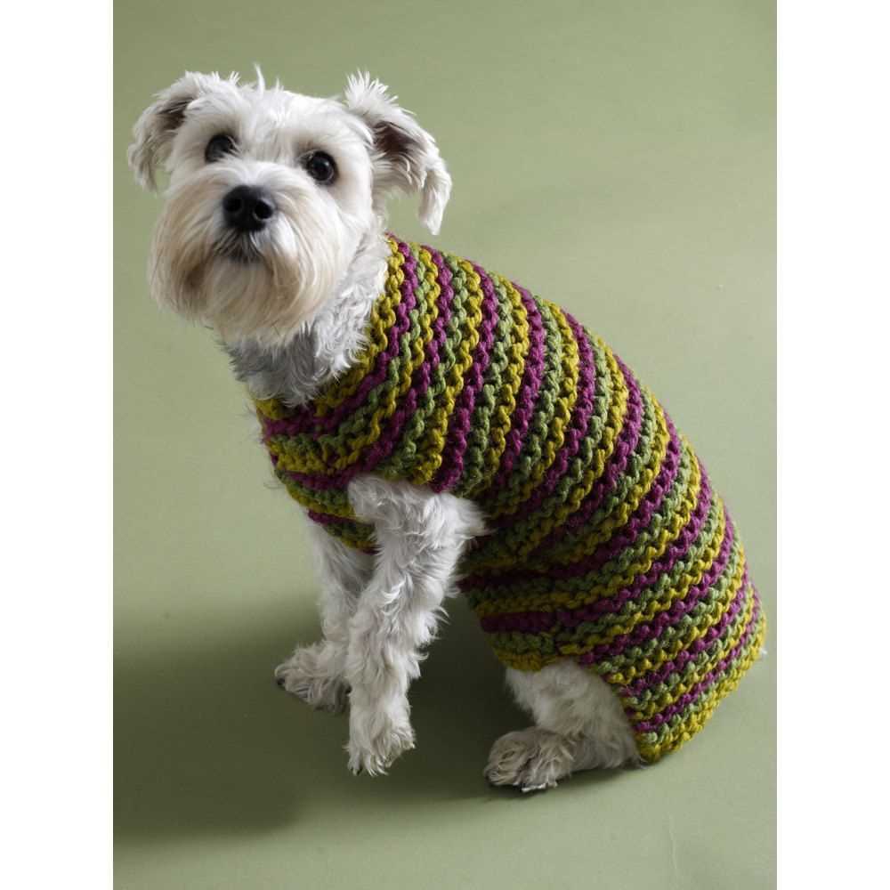 Boxer dog knitting pattern