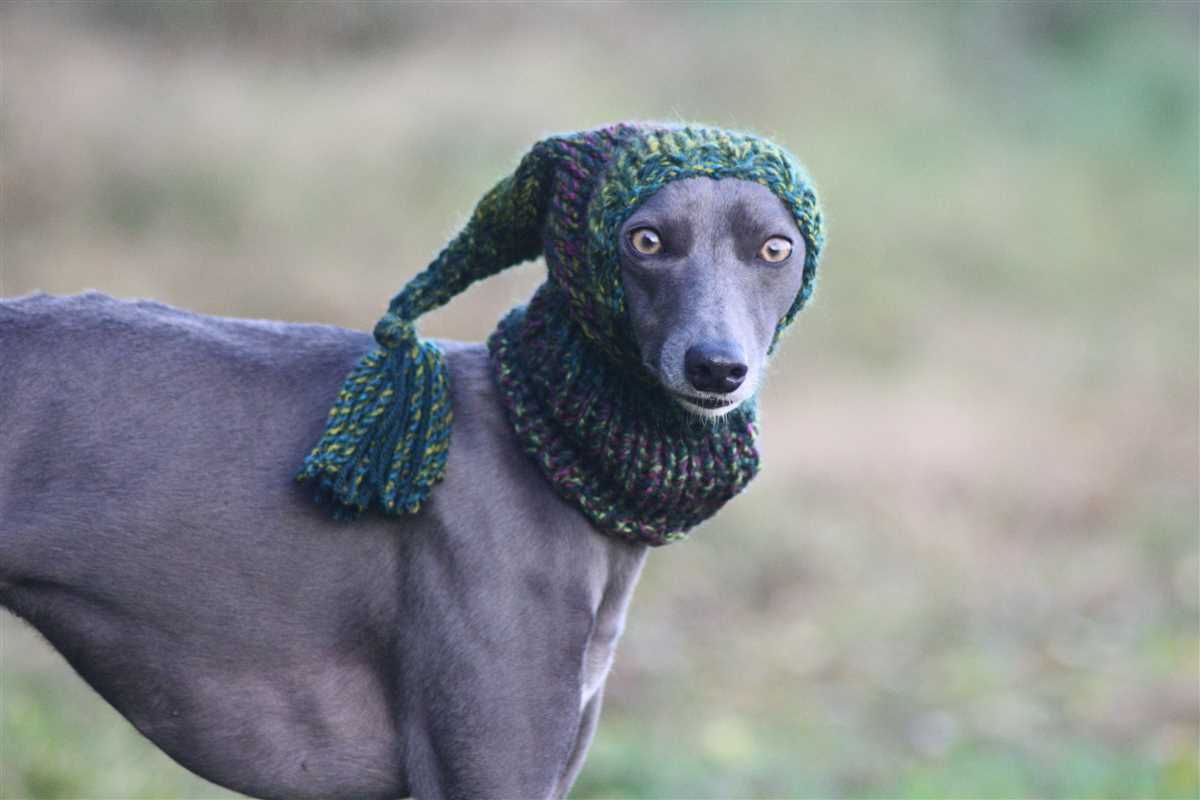 Greyhound snood knitting pattern