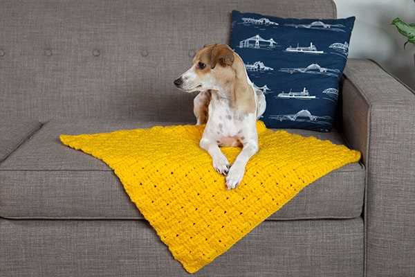 Animal blanket knitting pattern