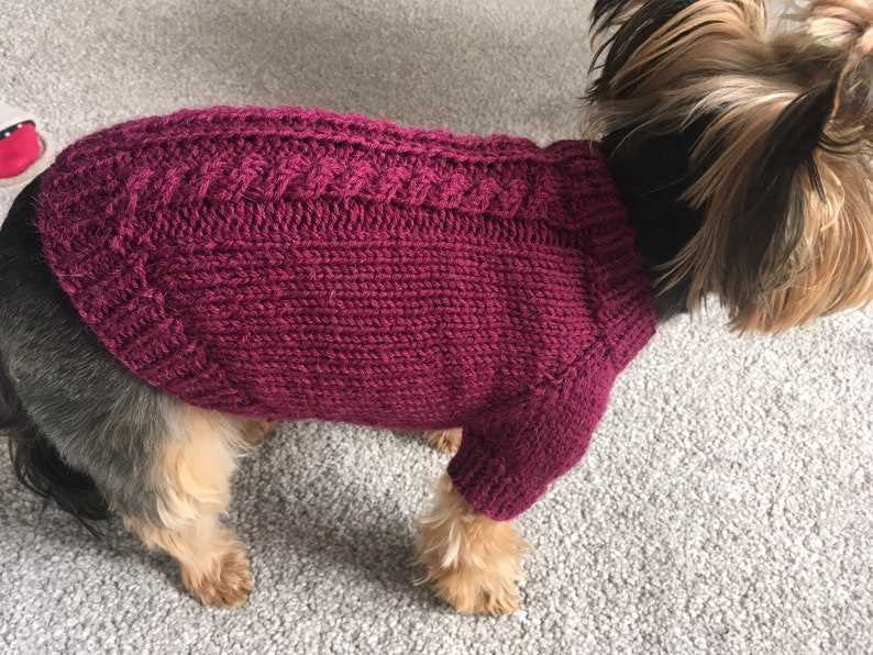 Small dog knitted sweater pattern