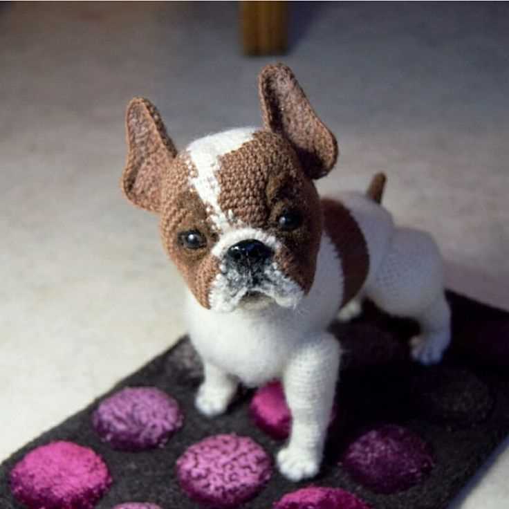 Boxer dog knitting pattern