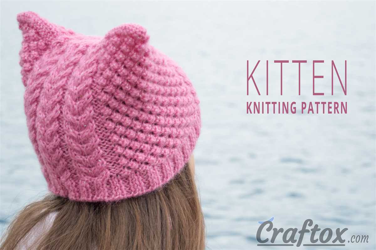 Cat hat knit pattern free