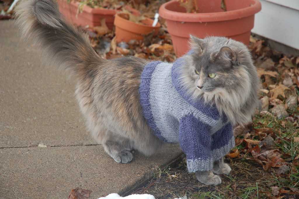 Cat hoodie knitting pattern