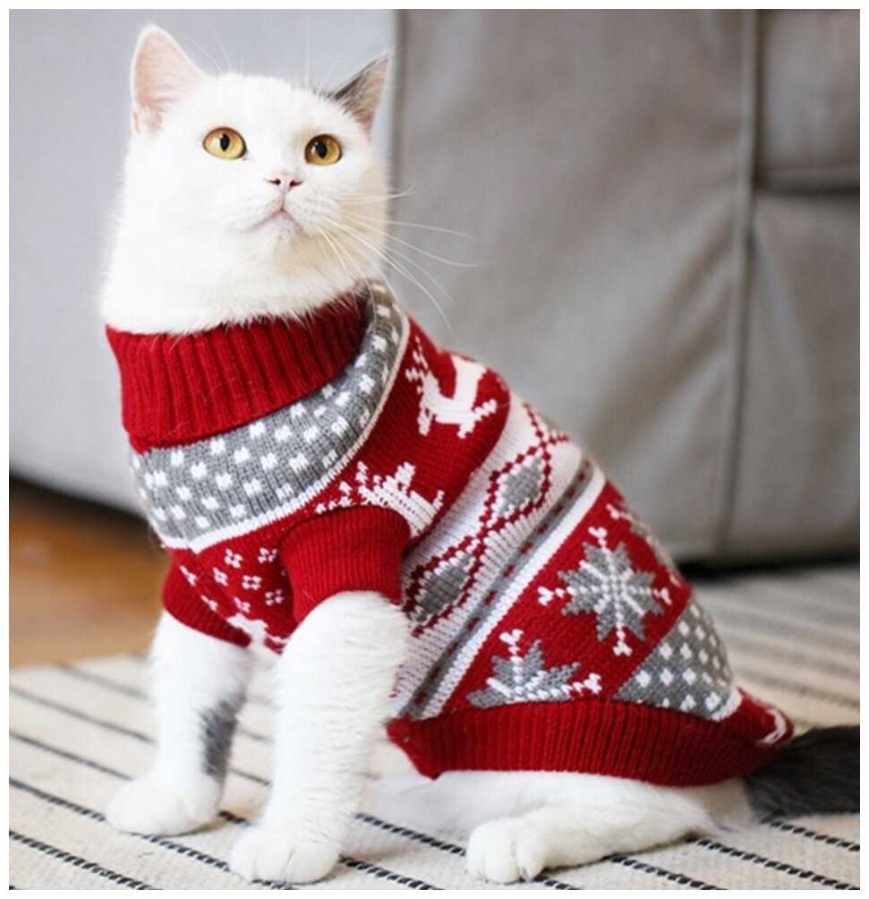 Cat knitting pattern sweater