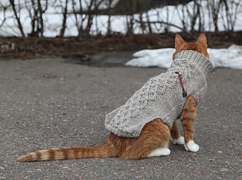 Cat knitting pattern sweater