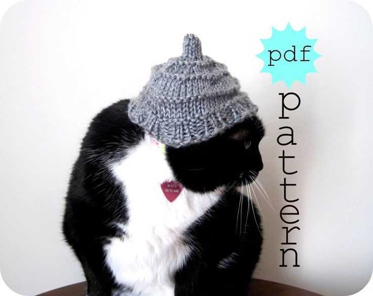 Cat hat knit pattern free