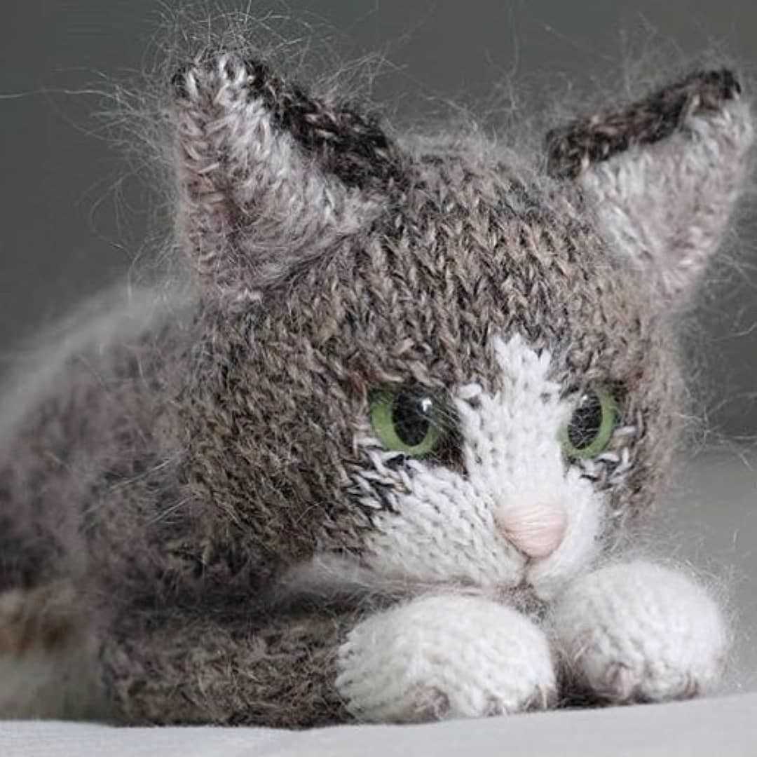 Cat hoodie knitting pattern