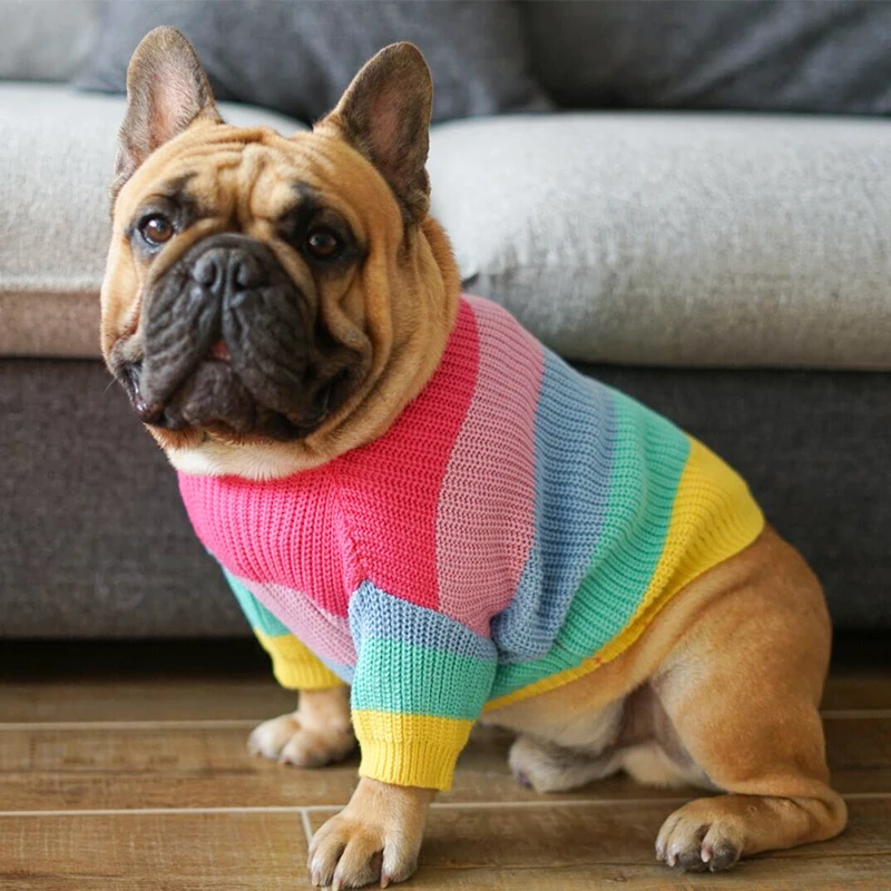 French bulldog knit sweater pattern