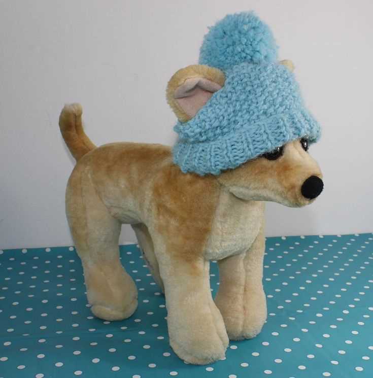 Knitting pattern for small dog hat