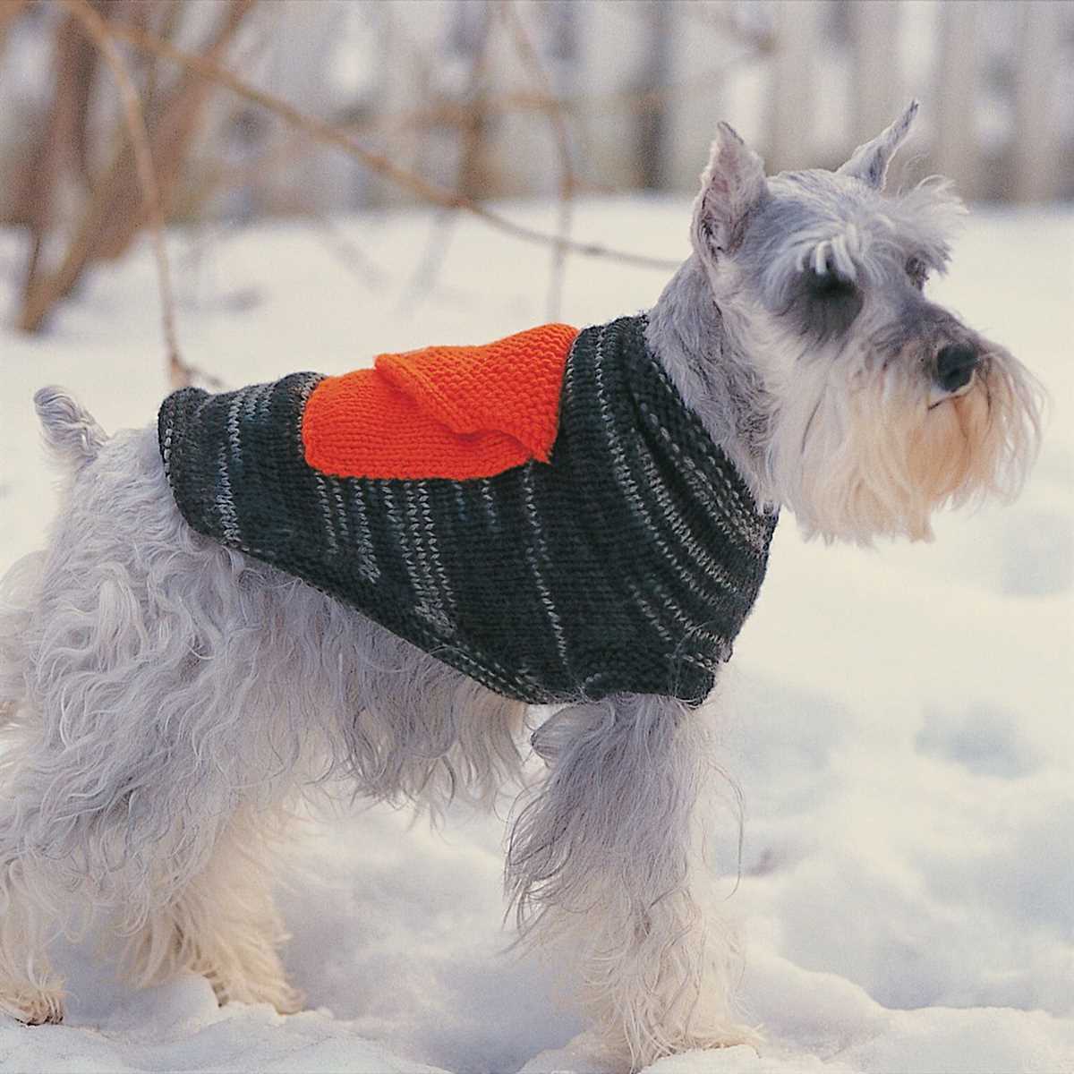 Free knitting pattern for large dog sweater