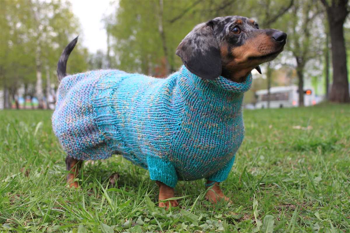 Dachshund jumper knitting pattern