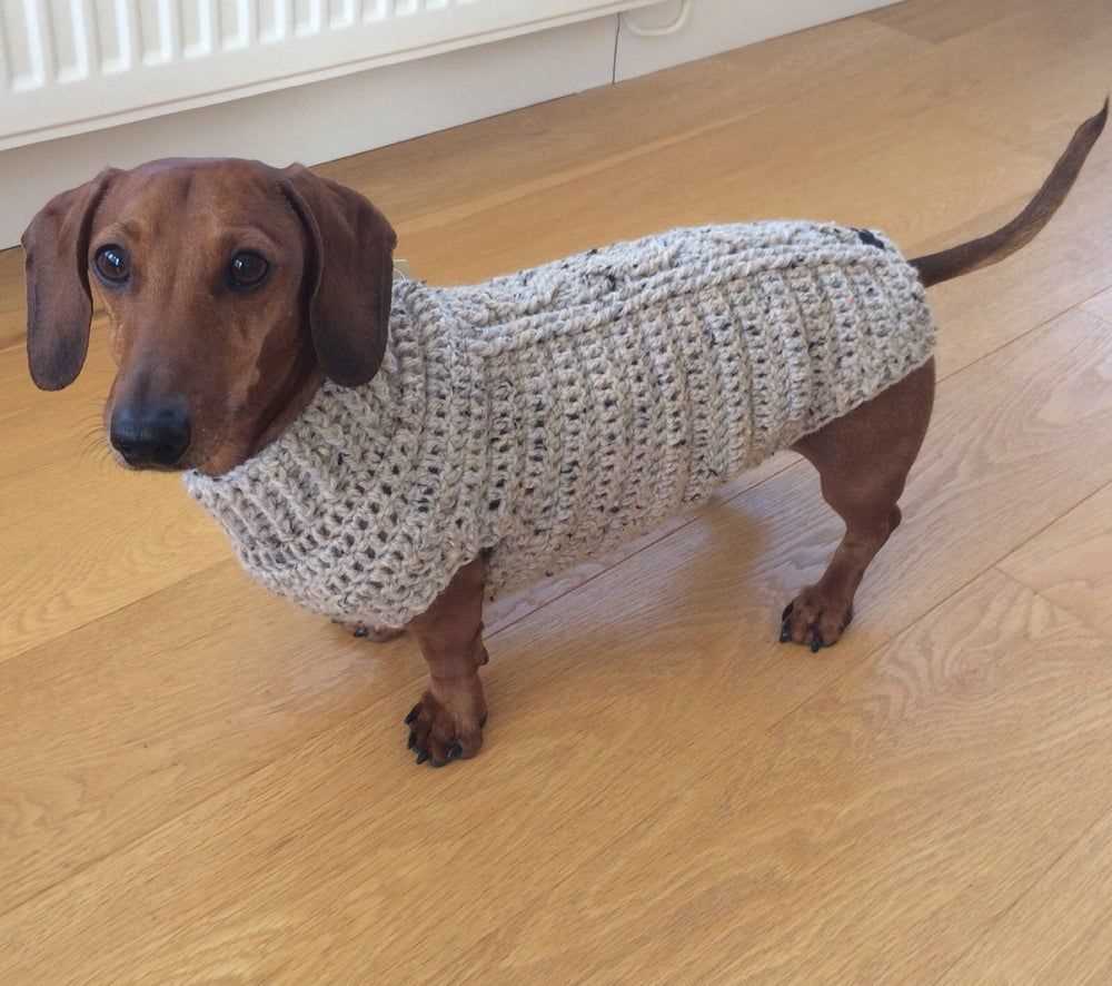 Dachshund jumper knitting pattern