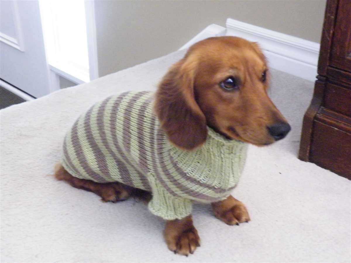 Dachshund jumper knitting pattern