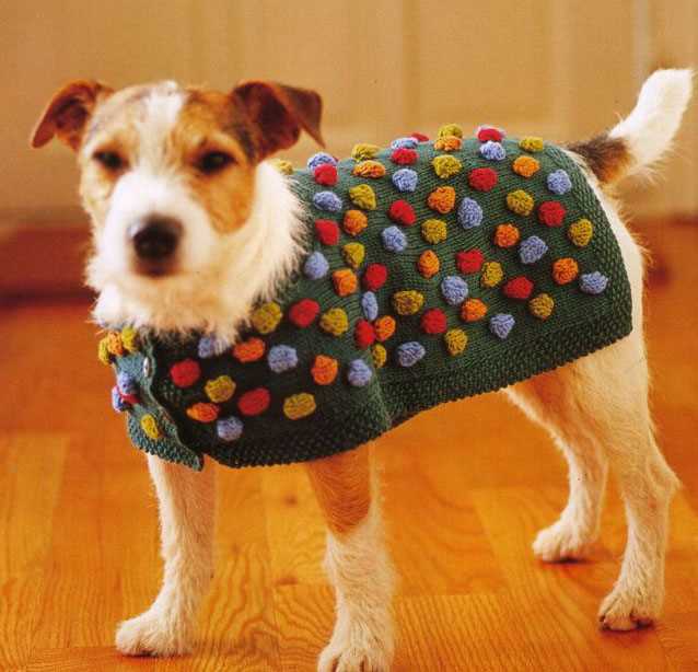 Dog clothes knitting patterns