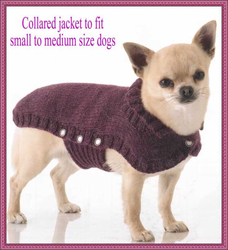 French bulldog knitting pattern free