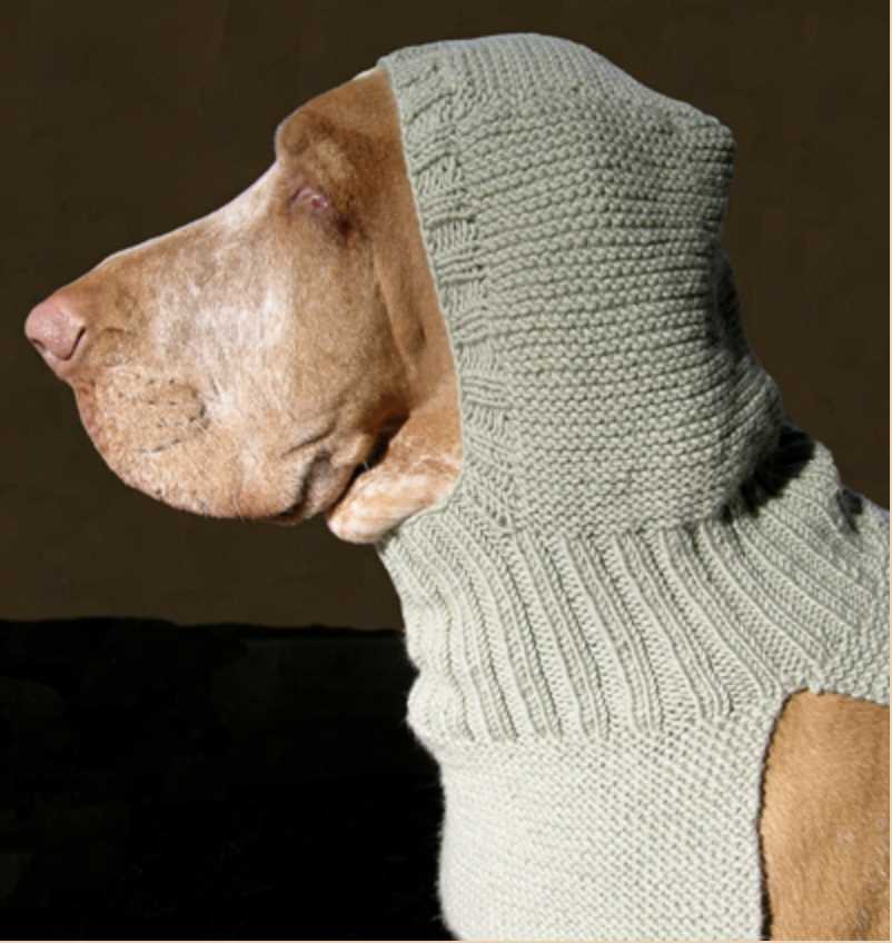 Dog snood knitting pattern free