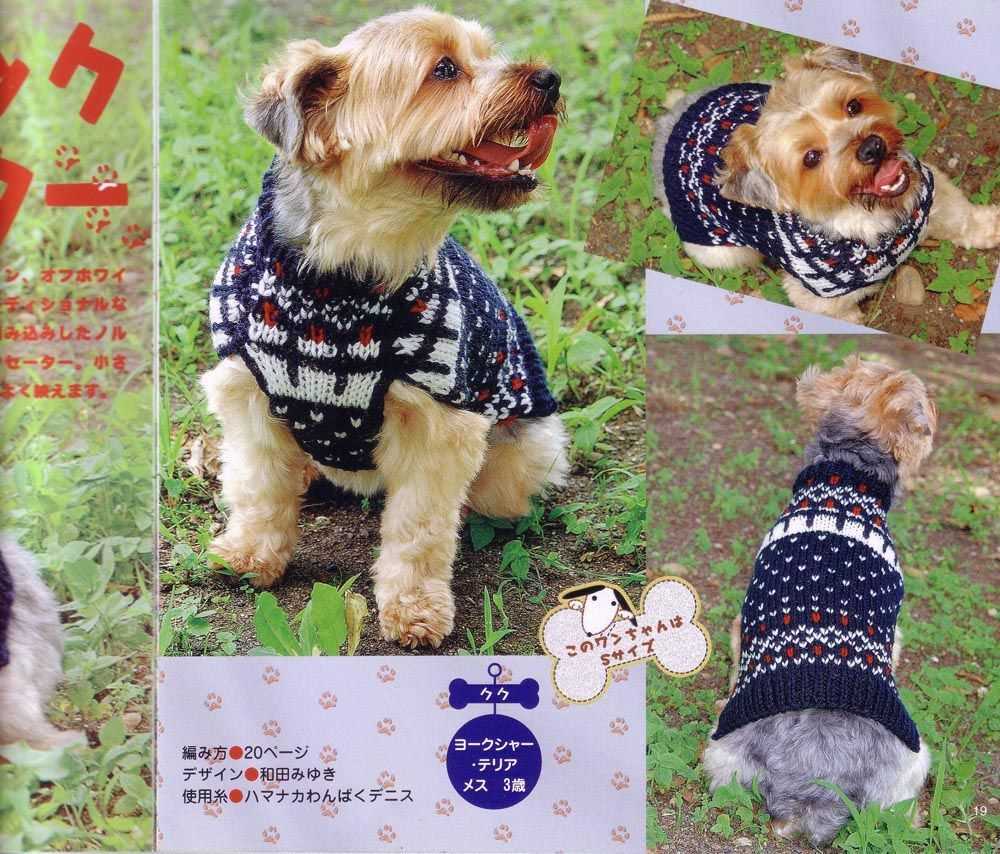 Dog clothes knitting patterns